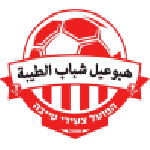 Tzeirey Taibe club crest
