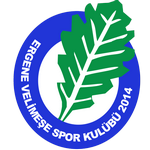 Ergene Velimeşespor club crest