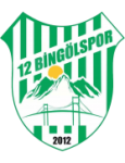 12 Bingölspor club crest