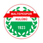 Maltepespor club crest
