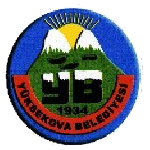 Yüksekova Belediyespor club crest