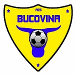 Bucovina Rădăuţi club crest