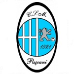 Paşcani club crest