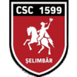 Viitorul Şelimbăr club crest