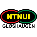 NTNUI club crest