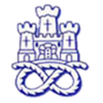 Newcastle Town club crest