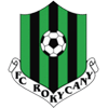 Rokycany club crest