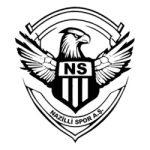 Nazilli Spor club crest