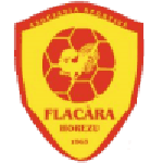 Flacăra Horezu club crest