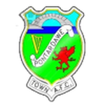 Pontardawe Town club crest