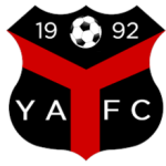 Ynyshir Albions club crest