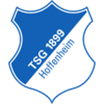Hoffenheim U19 club crest