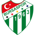 Bursaspor U19 club crest