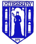 Amesbury Town club crest