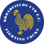 Brockenhurst club crest
