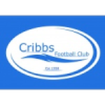 Cribbs club crest