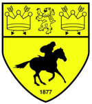 Newmarket Town club crest