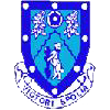 Rugby Town club crest