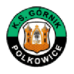 Górnik Polkowice club crest