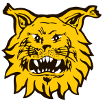 Ilves II club crest