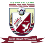 Hadiya Hosaena club crest