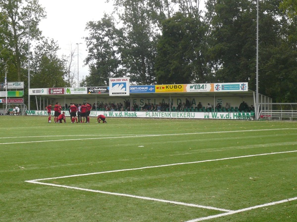 Sportpark De Hoge Bomen stadium
