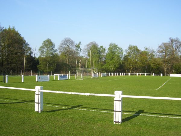 Ascot Racecourse stadium