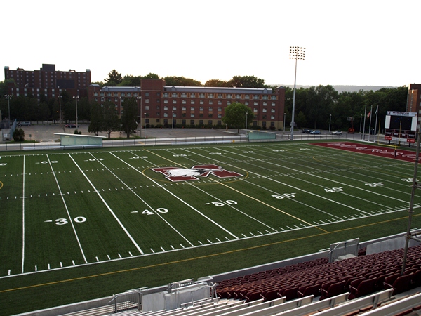 Ron Joyce Stadium stadium