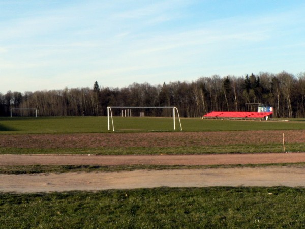 VDU Valdo Adamkaus stadionas stadium