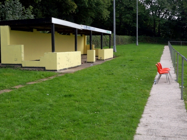 Gentles Construction Stadium stadium