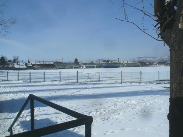 Stadionul Viitorul stadium