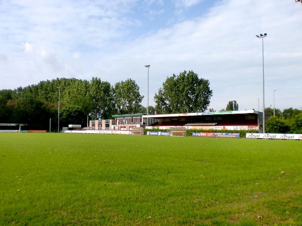 Sportpark De Bongerd stadium