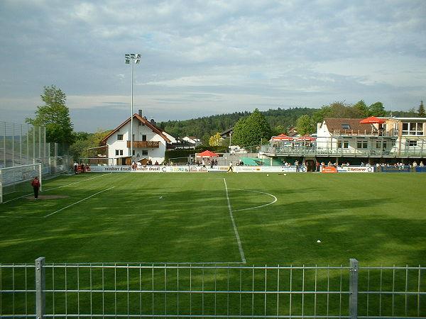 Kleiner-Arena stadium