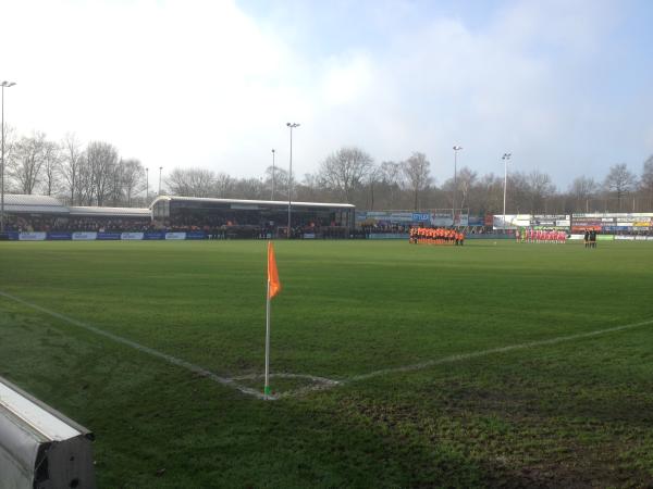 Sportpark de Boshoek stadium