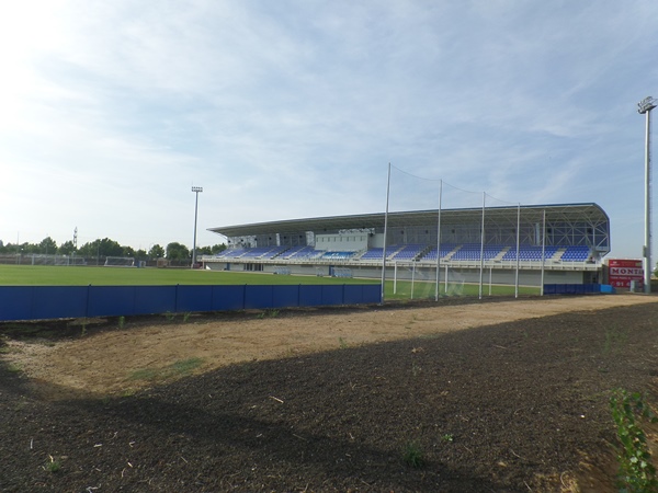 Estadio Fernando Torres stadium
