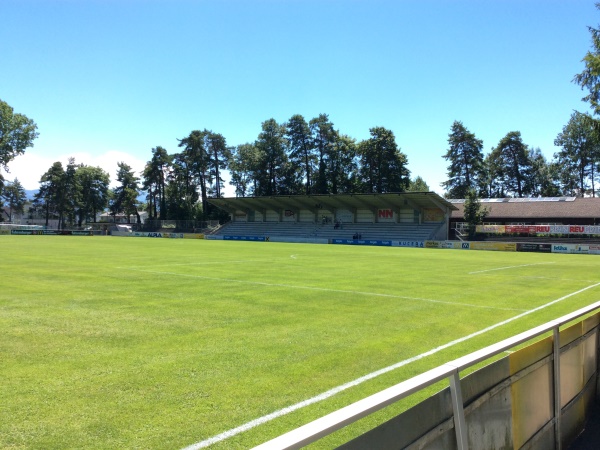 Waldstadion Hard stadium