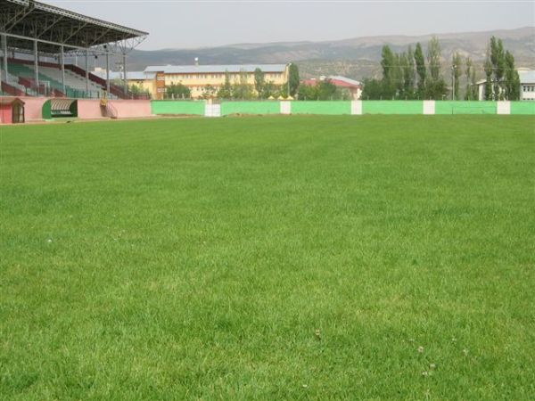 Bingöl Şehir Stadyumu stadium