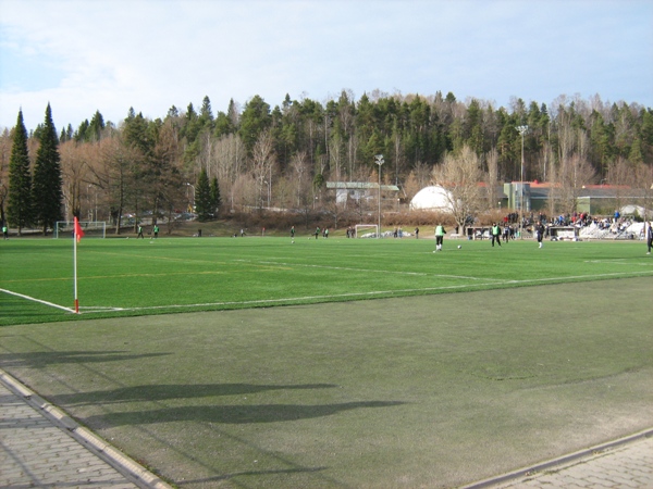 Kisapuiston tekonurmi stadium