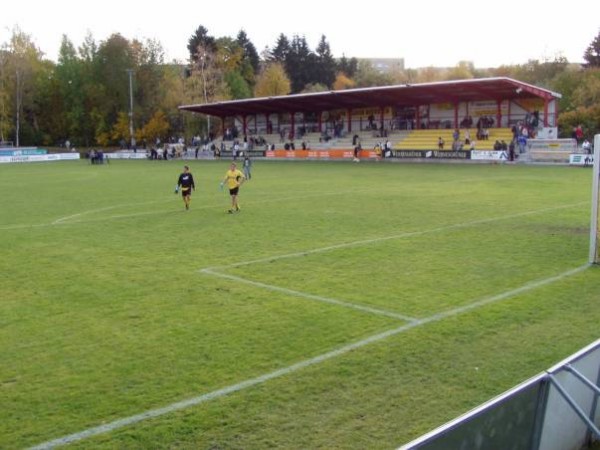 Arena zur Vogtlandweide stadium