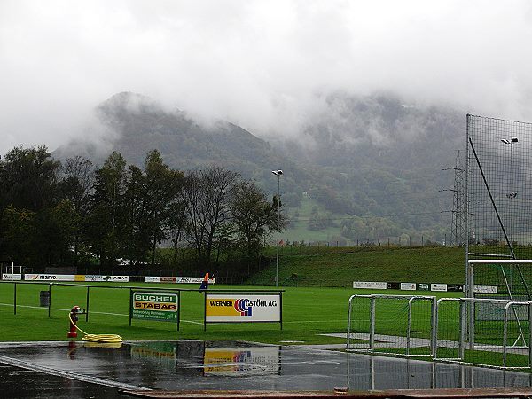 Sportplatz Rheinau stadium
